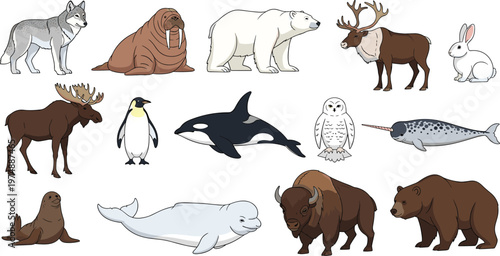 Arctic and Forest Animals Collection with Wolf, Polar Bear, Walrus, Seal, Penguin, Orca, Moose, Bison and More Wildlife Flat Vector Illustrations for Nature Design.
