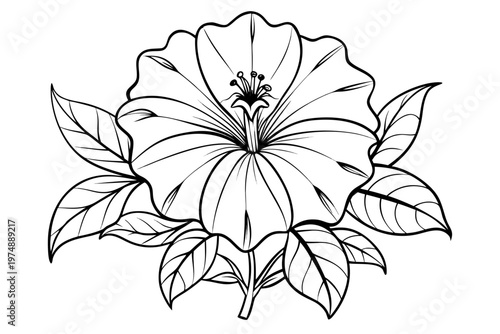 coloring page line art the petunia flower black veector