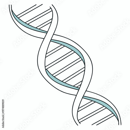 A simplified illustration depicts a double helix structure representing deoxyribonucleic acid or dna with light blue accents high quality professional detailed modern