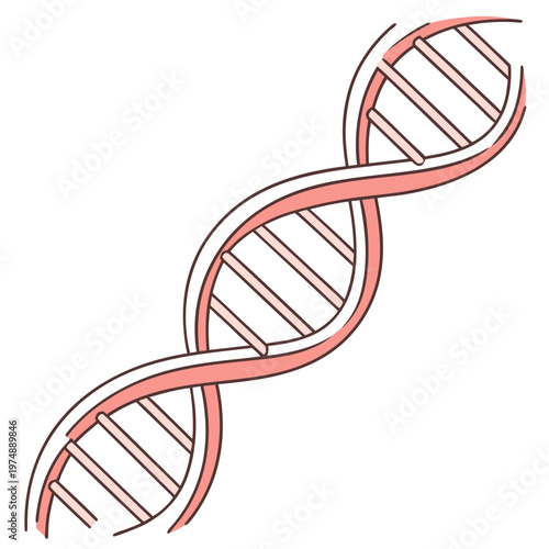 A stylized illustration depicts a double helix structure commonly associated with deoxyribonucleic acid or dna in a light pink hue high quality