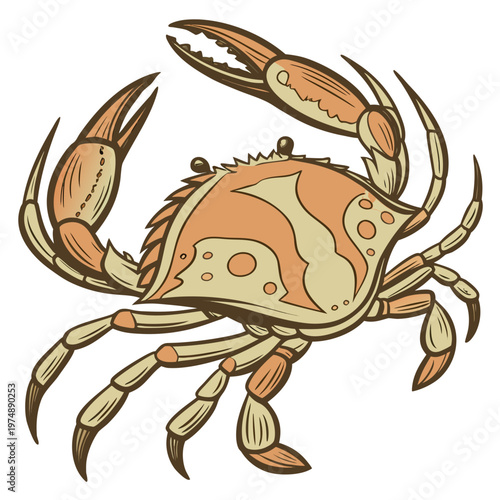 A vintage style illustration depicts a vibrant orange crab with detailed linework showcasing its claws and segmented legs against a white background