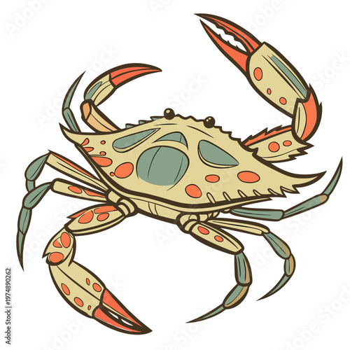A detailed illustration depicts a blue crab with a textured shell prominent claws and multiple legs facing forward high quality professional modern