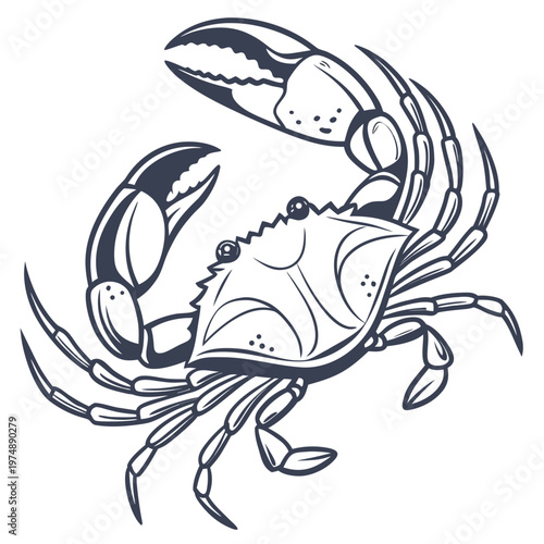 A detailed monochromatic illustration depicts a crab with raised claws facing forward and showcasing its segmented body and legs high quality professional