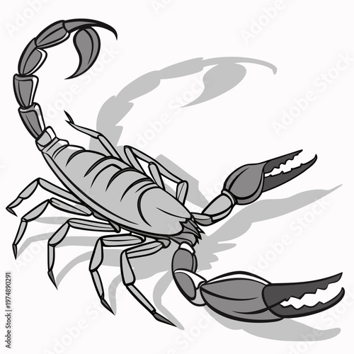 A detailed grayscale illustration depicts a scorpion with its tail arched and claws extended casting a subtle shadow high quality professional modern
