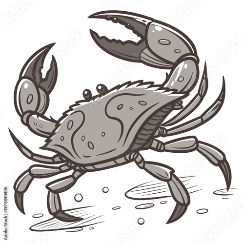 A detailed black and white illustration showcases a crab with prominent claws textured shell and eight legs positioned on a sandy surface