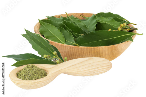Fresh Laurel leaves in wooden bowl and spoon isolated on white background. Green bay leaf