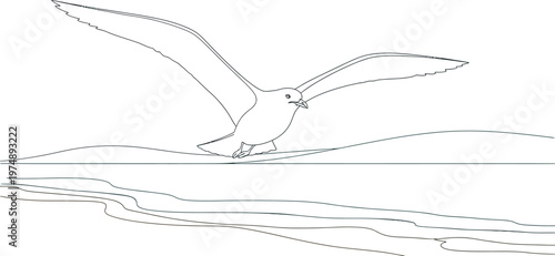 A beautiful white seagull illustration gracefully soaring with outstretched wings above the calm, tranquil ocean and serene sandy beach, embodying freedom and natural beauty.