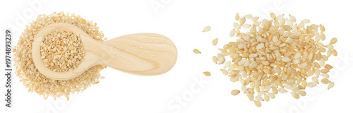 Sesame seeds in wooden spoon isolated on white background. Top view. Flat lay