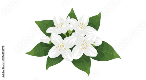 Group of white jasmine flowers with yellow centers and dark green leaves arranged in a beautiful floral composition.