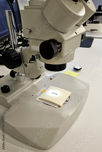 Examining Sample Under Microscope in Laboratory Setting