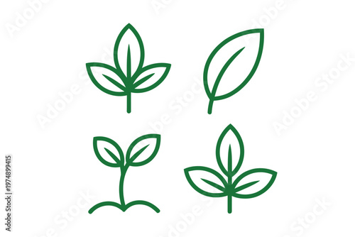 A collection of four simple green leaf illustrations varying in shape and arrangement high quality professional