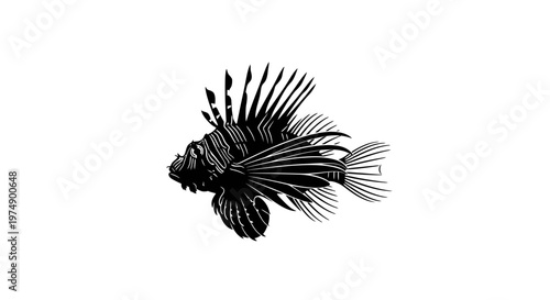 Black And White Lionfish Illustration, Exotic Marine Life, Underwater Creature