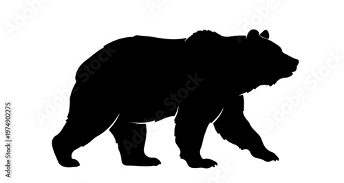 bear silhouette vector 