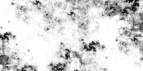 Abstract black and white swirl smoke texture background with monochrome ink wash grunge. The delicate graphic cloudy pattern offers a dynamic layout element.