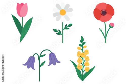 A colorful illustration depicts various blooming flowers including tulips daisies poppies and bellflowers high quality professional