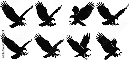 Eagle icon set diverse silhouettes of majestic birds of prey for graphic design and branding projects
