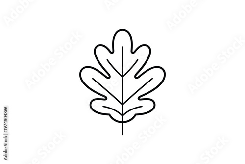 A minimalistic line drawing depicts a single oak leaf showcasing its simple yet elegant form