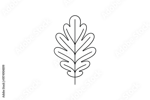 A simple line drawing depicts a single oak leaf showcasing its lobed shape and central vein