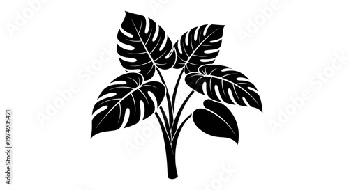 Monstera Plant Silhouette Vector Icon Isolated on White Background