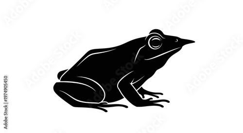 Black silhouette of a frog on white background, side view, isolated