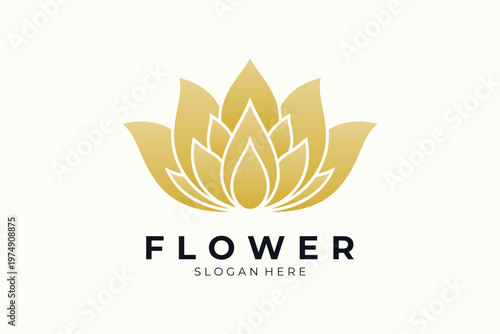 Beauty lotus flower logo design