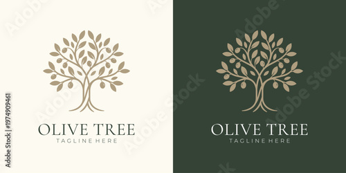 Olive tree logo with natural organic design