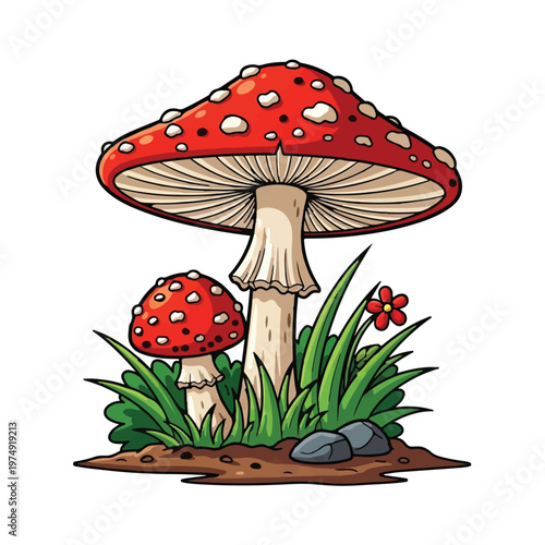 Mushroom Forest Nature Illustration Commercial