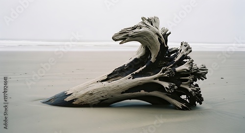 Weathered driftwood log resting on a sandy beach at the ocean shore