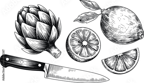 Vintage artichoke lemon and knife sketch drawing isolated on transparent.