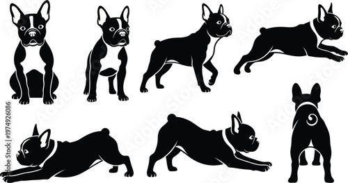 French bulldog silhouettes set vector, different poses collection, dog breed illustration, black canine icons, pet clipart, isolated design elements, minimal graphic pack
