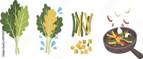 Leafy vegetables preparation process with washing chopping and cooking steps, healthy food vector illustration set for kitchen and nutrition design