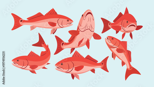 Flat Illustration Group of Redfish Sea Animal Ocean Creature