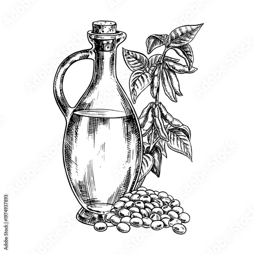 Soybean oil. A glass bottle, a handful of soybeans, and a stem with leaves and pods. Black and white vector graphics. For menus, recipes, and cookbooks. For banners, packaging, labels, and more.