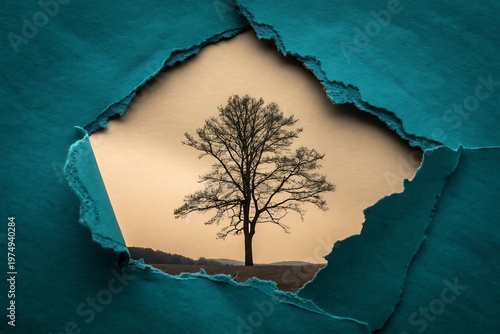 Lone bare tree visible through torn teal paper frame