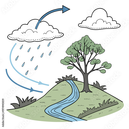 This illustration depicts the water cycle showing evaporation condensation precipitation and collection within a natural landscape high quality professional detailed modern elegant