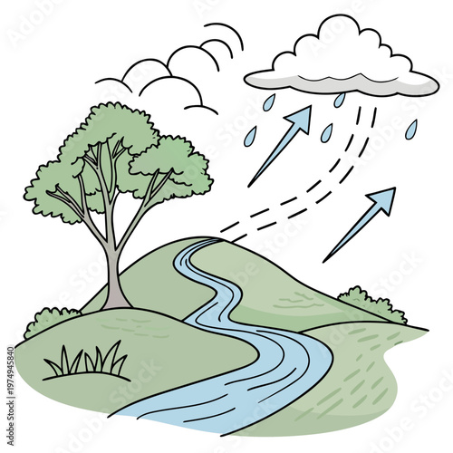 A simplified illustration depicts the water cycle showing a tree hill river rain cloud and arrows illustrating evaporation and precipitation high quality