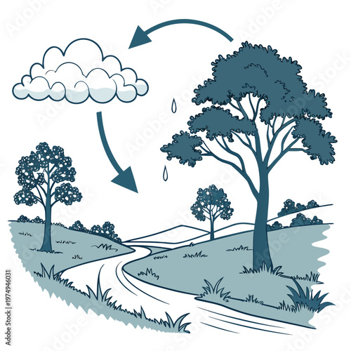 This illustration depicts the water cycle showing evaporation from a cloud precipitation falling on trees and water flowing into a stream