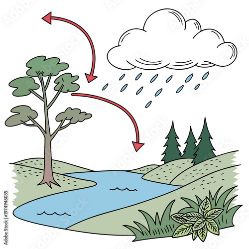 This illustration depicts the water cycle showcasing evaporation condensation precipitation and collection processes in a natural landscape high quality professional detailed modern