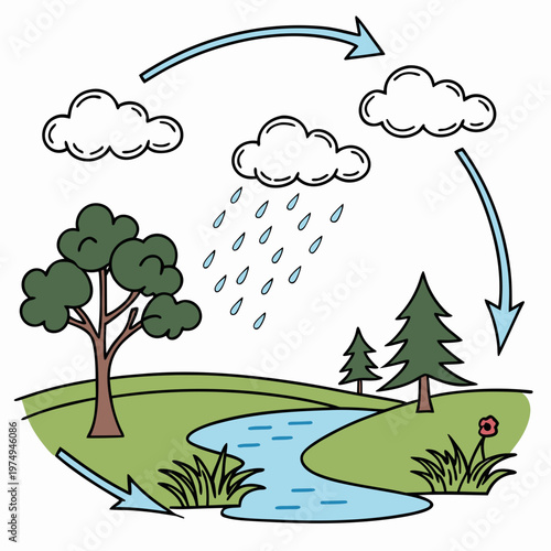 This colorful illustration depicts the cyclical process of the water cycle showing evaporation condensation precipitation and collection high quality professional detailed modern