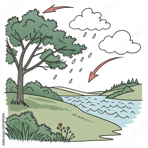 This illustration depicts the water cycle with a tree clouds rain a river and arrows showing evaporation and precipitation high quality professional