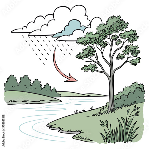A colorful illustration depicts the water cycle showcasing evaporation from a river into clouds and subsequent rainfall high quality professional detailed modern