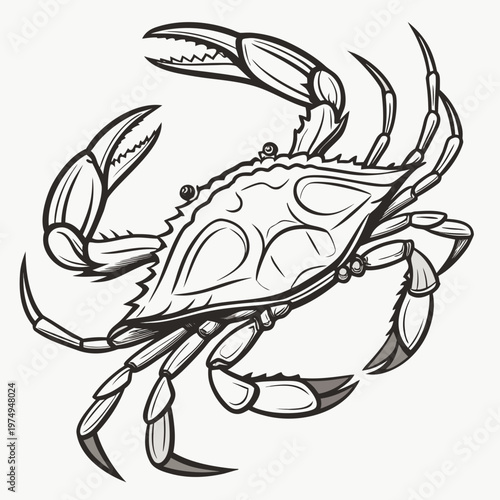A detailed monochromatic illustration depicts a crab with prominent claws carefully outlined and shaded showcasing its anatomical features high quality professional modern