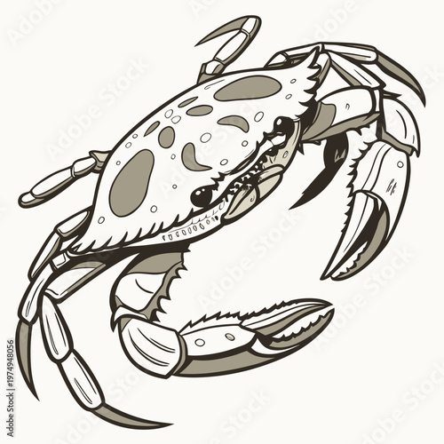 A detailed vintage style illustration showcases a blue crab with prominent claws facing forward with intricate linework and shading high quality professional