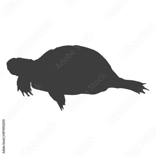 Turtle swimming silhouette turtle silhouette
