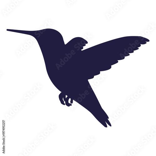 Colibri feeding silhouette
