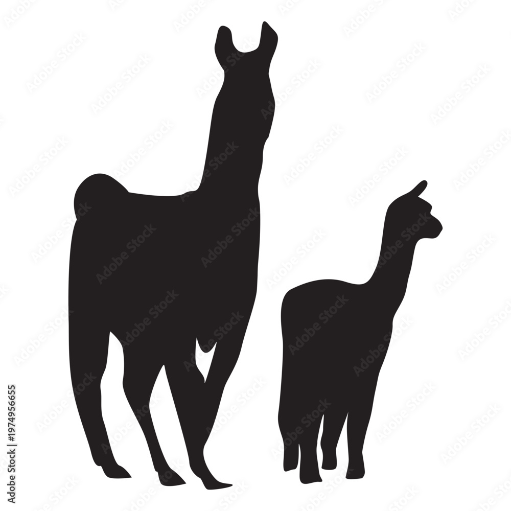 Fototapeta premium Llama and cria silhouette