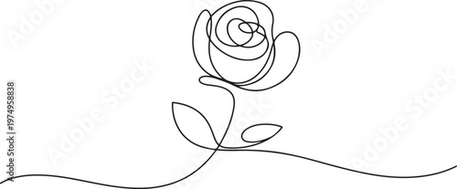 One line drawing Rose vector. Rose flower single line vector linear icon. one line Icon drawing