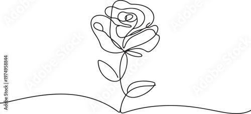 One line drawing Rose vector. Rose flower single line vector linear icon. one line Icon drawing