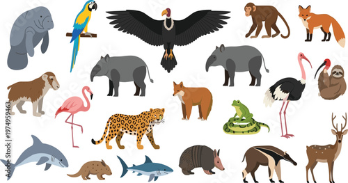 Wild Animals and Birds Collection with Leopard, Fox, Monkey, Tapir, Flamingo, Shark, Snake and More Flat Vector Wildlife Illustrations for Nature Design.