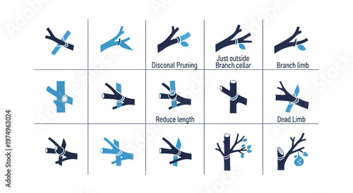 Set of infographic icons showing professional tree pruning and branch trimming techniques.